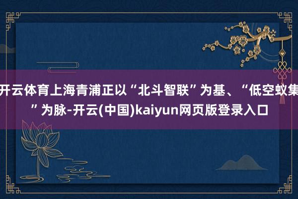 开云体育上海青浦正以“北斗智联”为基、“低空蚁集”为脉-开云(中国)kaiyun网页版登录入口