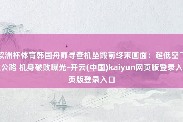 欧洲杯体育韩国舟师寻查机坠毁前终末画面：超低空飞过公路 机身破败曝光-开云(中国)kaiyun网页版登录入口