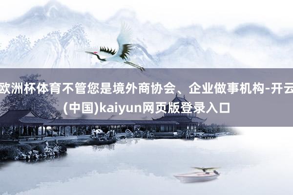 欧洲杯体育不管您是境外商协会、企业做事机构-开云(中国)kaiyun网页版登录入口