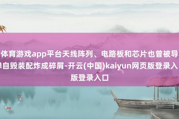 体育游戏app平台天线阵列、电路板和芯片也曾被导弹自毁装配炸成碎屑-开云(中国)kaiyun网页版登录入口