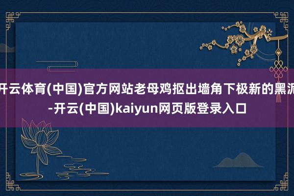 开云体育(中国)官方网站老母鸡抠出墙角下极新的黑泥-开云(中国)kaiyun网页版登录入口